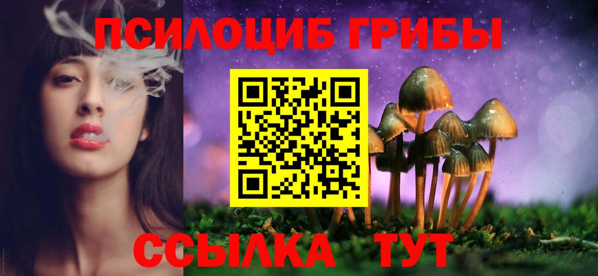 Псилоцибиновые грибы мицелий Калининград